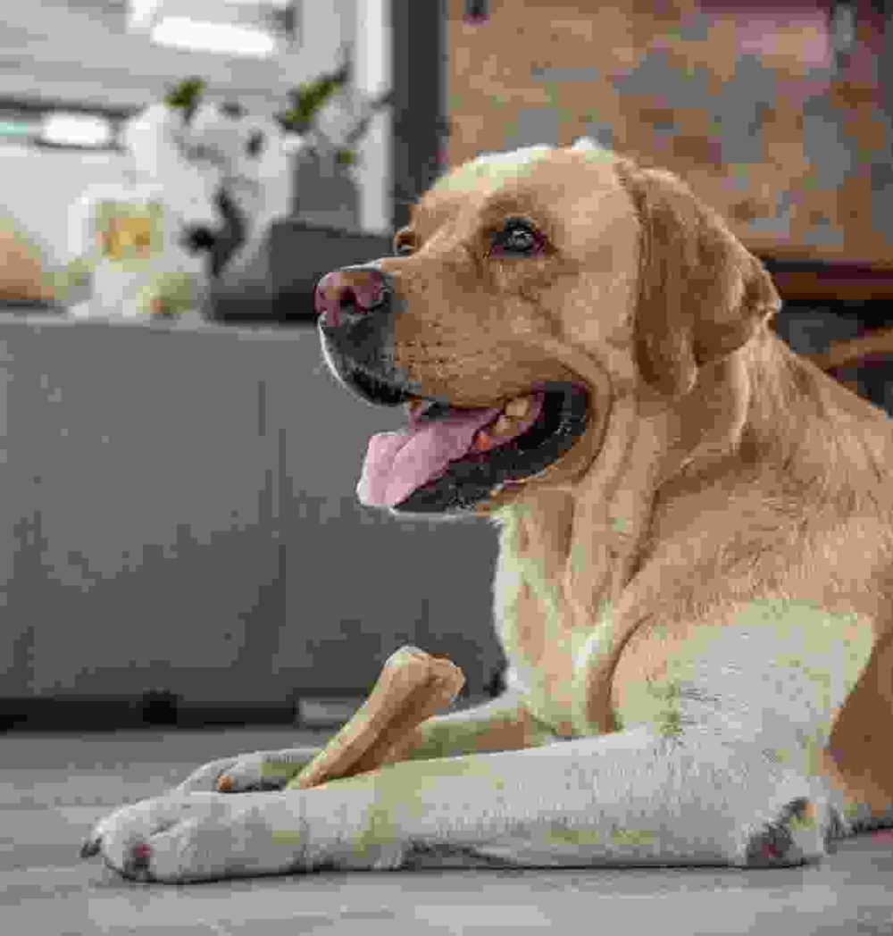 Gallery Thumb Gallery Thumb