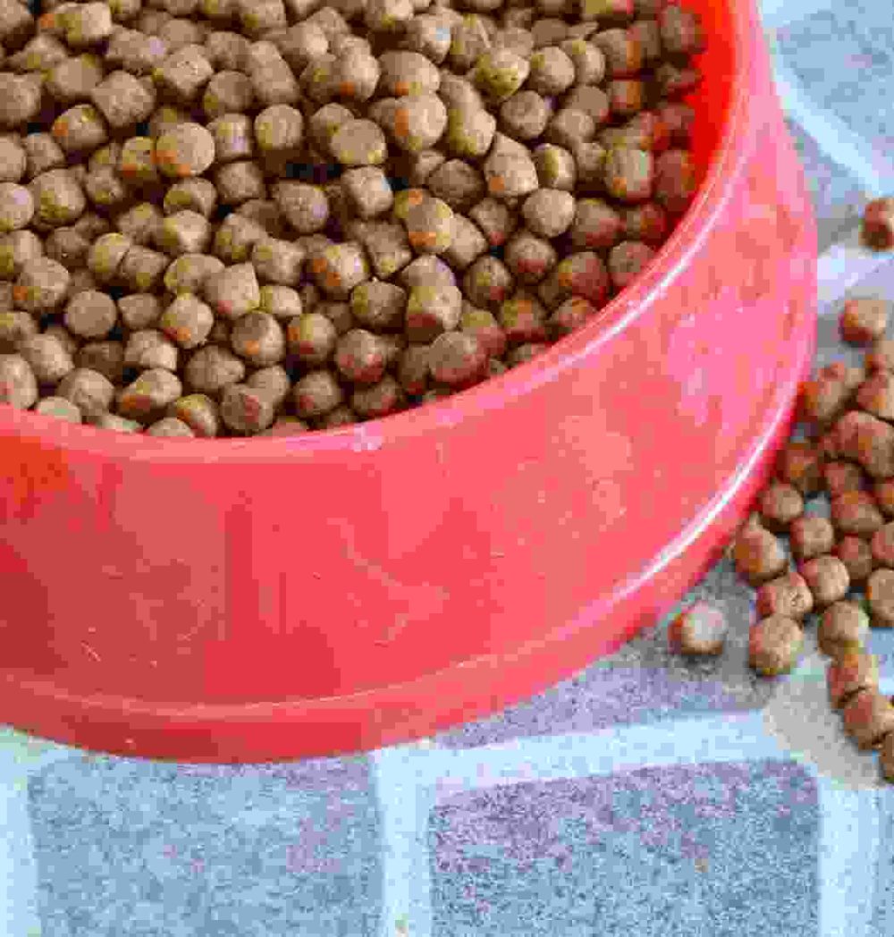 Gallery Thumb Gallery Thumb