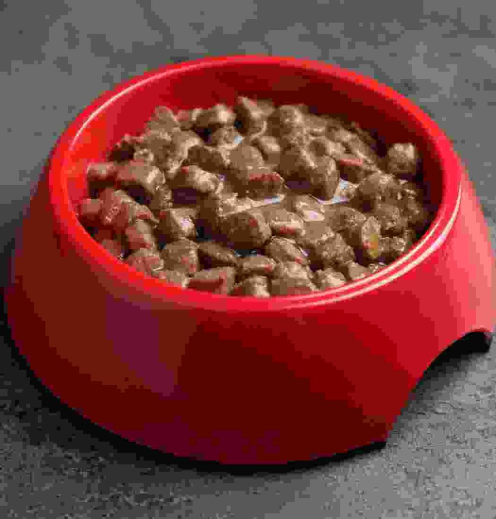 Gallery Thumb Gallery Thumb